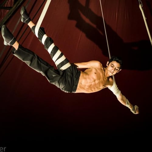 Romanès Cirque Tzigane 2