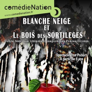 Compagnie mascarade