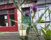Pygmalions (ou presque)