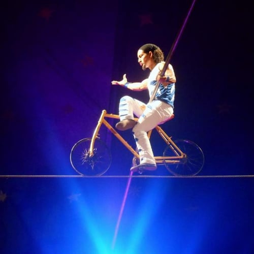Le Cirque Maximum 2