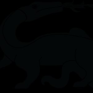 La compagnie de la salamandre