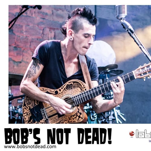 Bob's NoT Dead 2