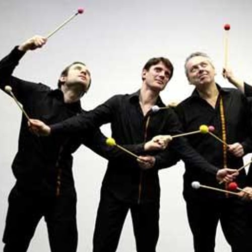 Les Percussions Claviers de Lyon 1