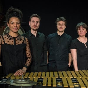 Les Percussions Claviers de Lyon