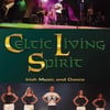 Artiste Troupes de danse irlandaise