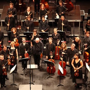 Les Musiciens du Louvre Grenoble