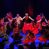 Artiste Danse Folklorique