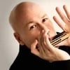 Artiste Harmonicistes