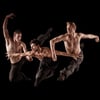 Artiste Modern jazz