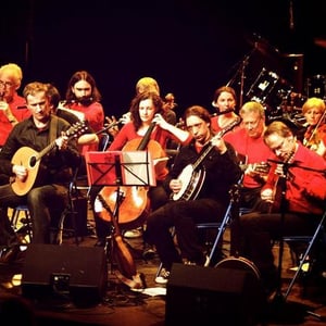 Groupes irlandais