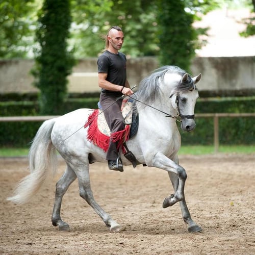 Le Cheval Rouge cirque équestre 3