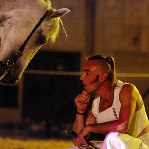 Le Cheval Rouge cirque équestre 6