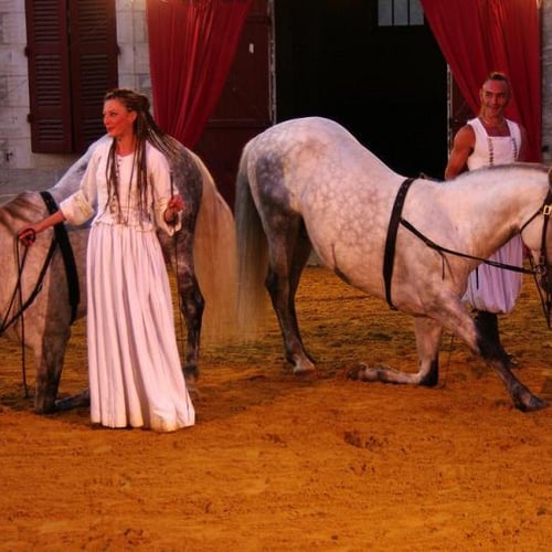 Le Cheval Rouge cirque équestre 7