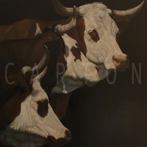 Capton 2