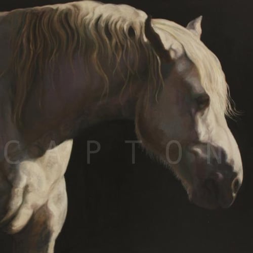 Capton 3