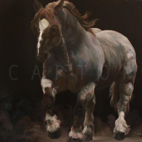 Capton 4