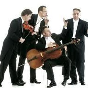 MozArt Group