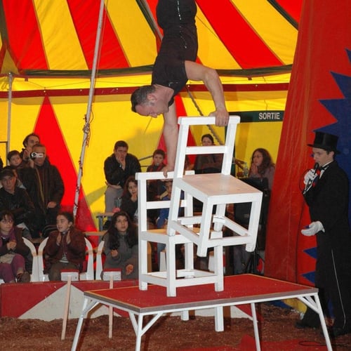 La Troupe du Cirque Européen 2