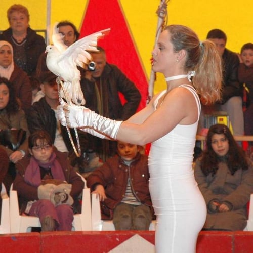 La Troupe du Cirque Européen 3