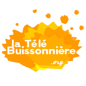 La Télé Buissonnière