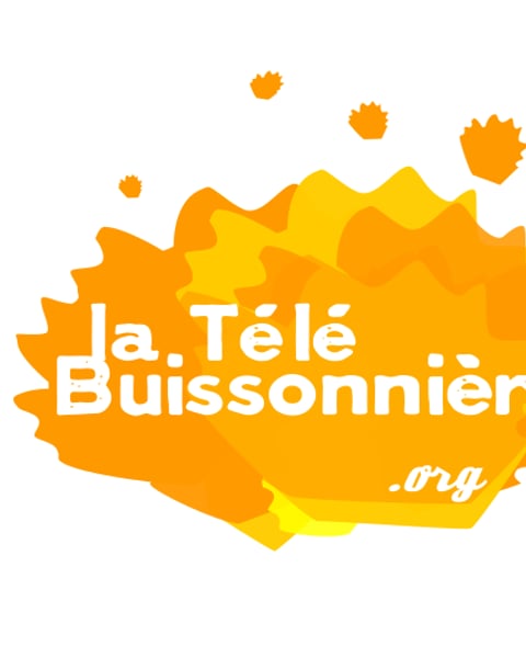 La Télé Buissonnière