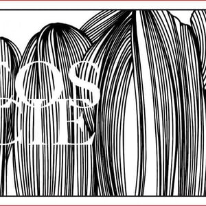 Eos Compagnie