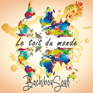 Bachibousouk