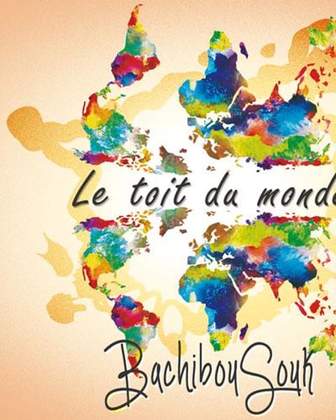 Bachibousouk