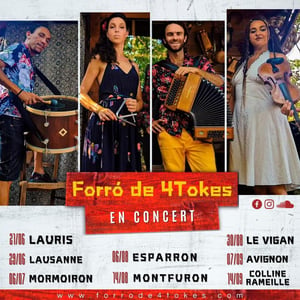 Forro De 4 Tokes