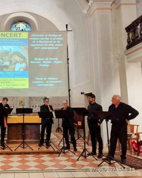 Ensemble Amicus Meus
