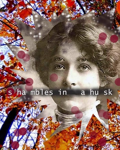 Shambles in a husk