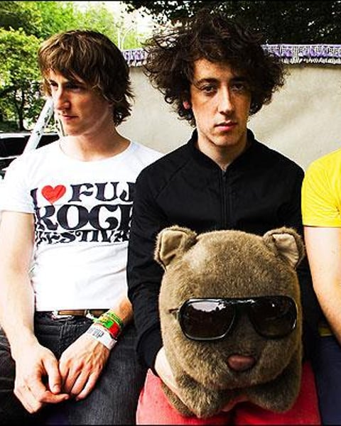 The Wombats