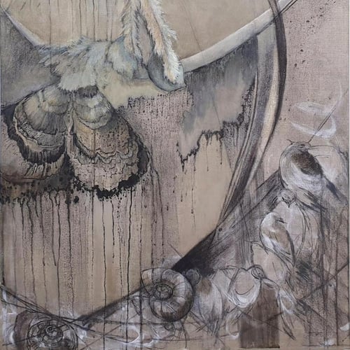 peinture et fusain coquillage et oiseaux