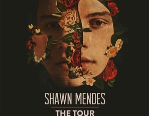 Shawn Mendes