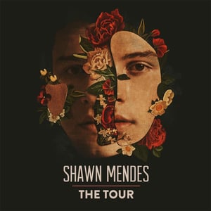 Shawn Mendes
