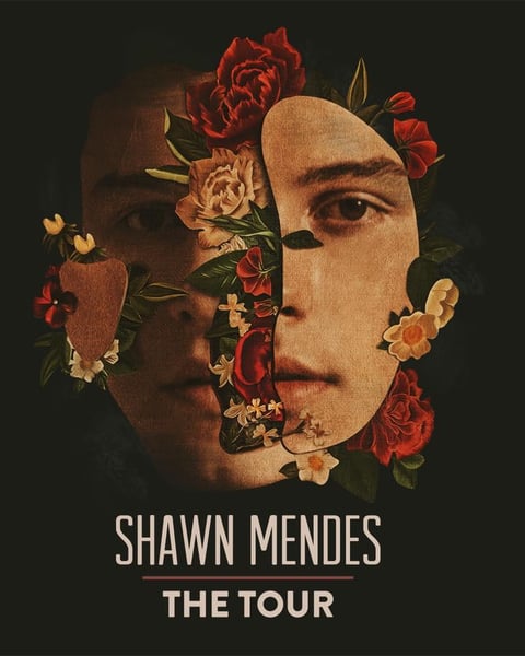 Shawn Mendes
