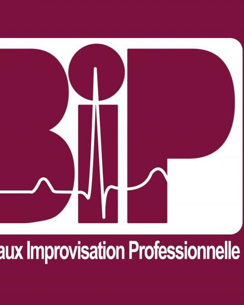B.I.P Bordeaux Improvisation Professionnelle