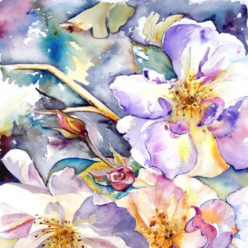 Cassy - Sylvie Canale 29