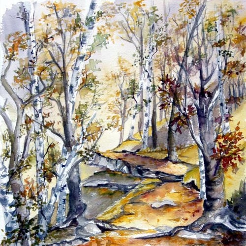 Cassy - Sylvie Canale 40