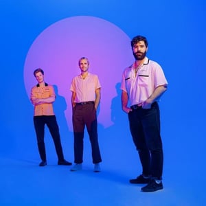 Foals