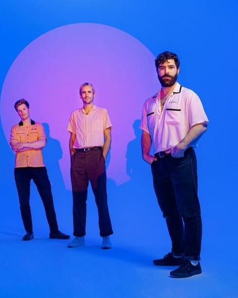 Foals
