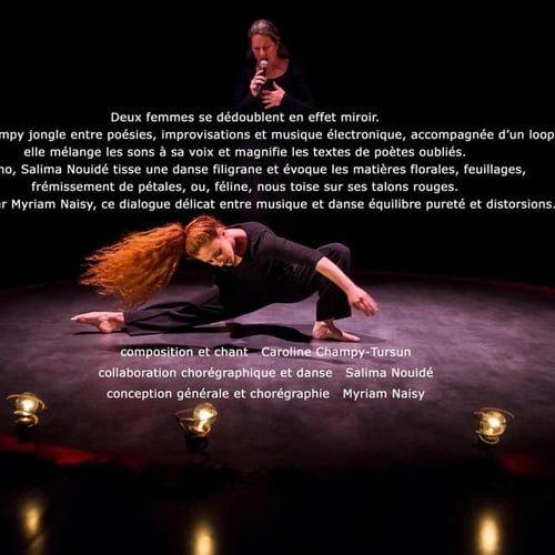 Compagnie Myriam Naisy 6
