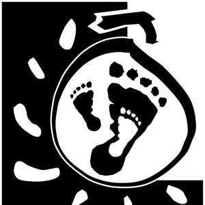 Compagnie Les Pieds dans l'Ô