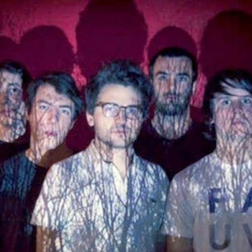 Fauve 1