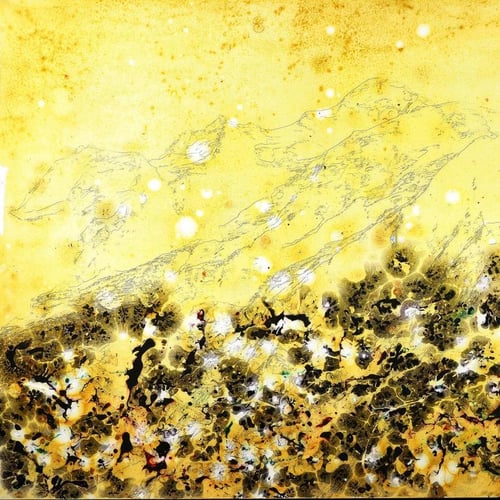 Thierry Daudier de Cassini 2