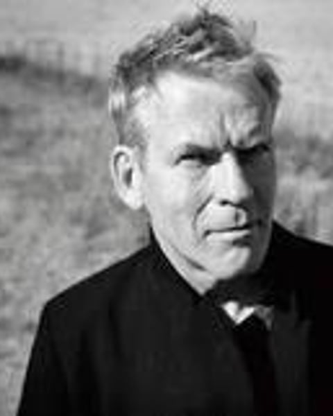 Dick Annegarn