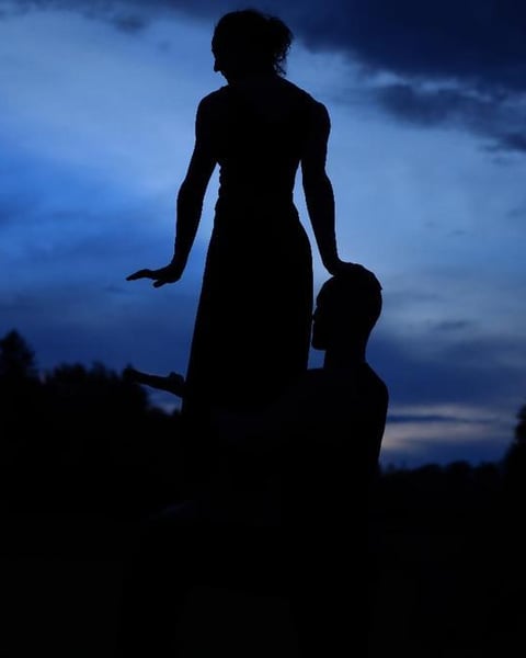 Compagnie L'aéronef