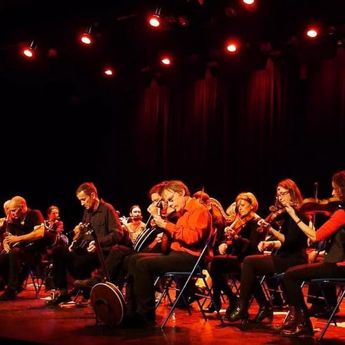 Orchestre de Musique Irlandaise 2