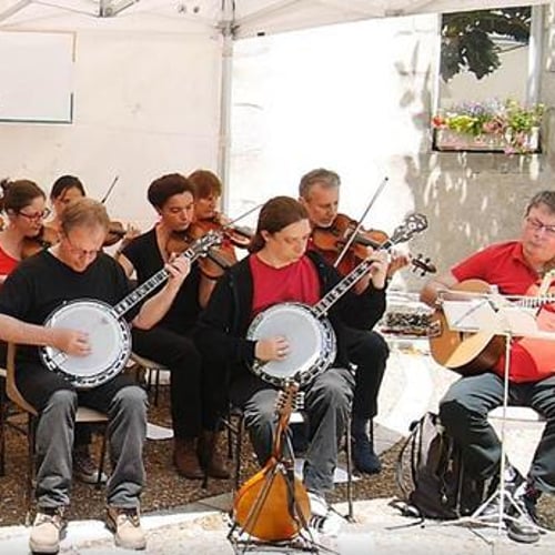 Orchestre de Musique Irlandaise 3