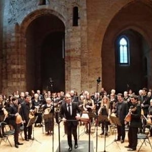 Orchestre regional de mandoline